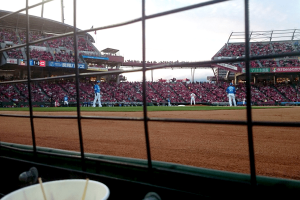 ビジター必見 マツダスタジアムの ビジターパフォーマンス席 Sportsmap