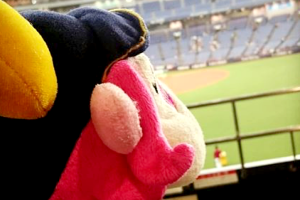 オリックスバファローズ「外野自由席」の観戦イメージ