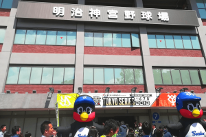 初めてのヤクルトスワローズセット！これだけ持っておけば間違いなし！神宮球場で観戦する時に買っておきたい応燕グッズ６選
