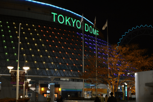 最安!? 観戦初心者にもオススメの東京ドームの指定席D