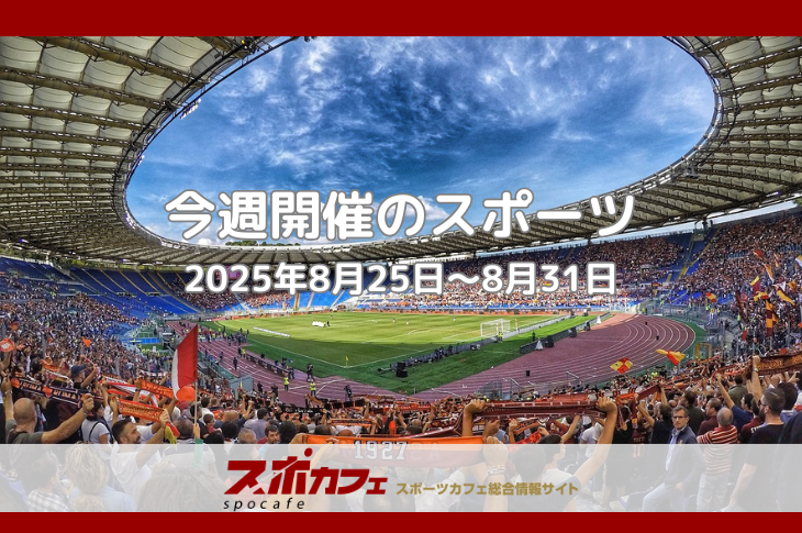チャンピオンズリーグ×セ・リーグ首位攻防！今週の熱戦総まとめ｜8/25-8/31