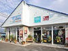 フェローサーフ&カフェ