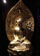 BUDDHA AREA