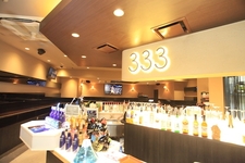 Standing Bar 333