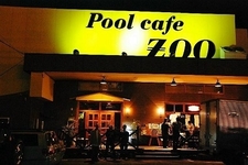POOL CAFE ZOO